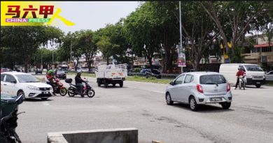 玛琳慕尼2及7路频车祸 市议会 拟3解决方案