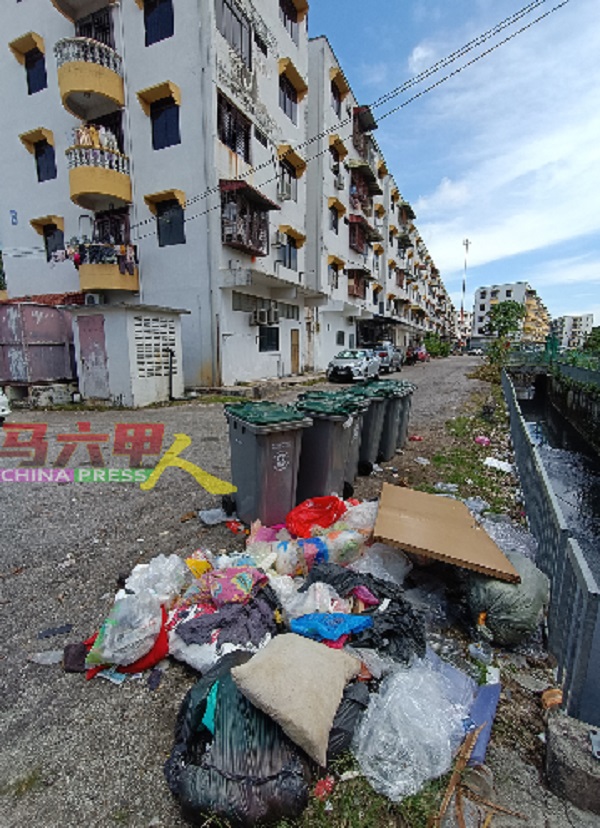 没有素质者随手将垃圾丢在垃圾桶周围，引发社区卫生问题。