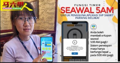突现“5am至5pm操作时段”资讯 SVP泊車Apps混淆民众