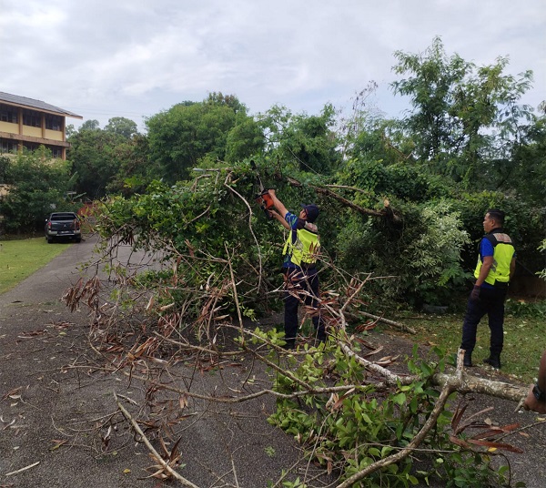 位于学校附近的大树倒下，获得甲历史城市政厅第一时间反应小组及时清理。