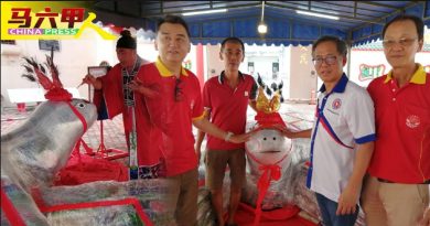 保安宫乞龟法会 筹获3200余包福米