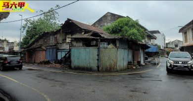 木板遭蚁蚀屋顶摇摇欲坠  5空置老店屋随时倒