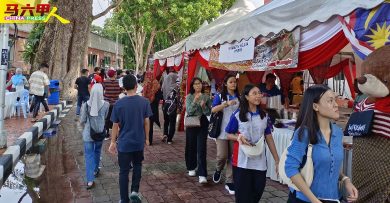 美食嘉年华迎3万游客  共赴一场舌尖之旅