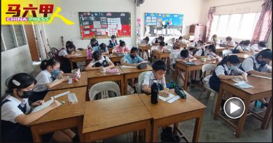 ◤今日马六甲头条◢大赛主题“我的动物故事” 235学童  齐发挥创意