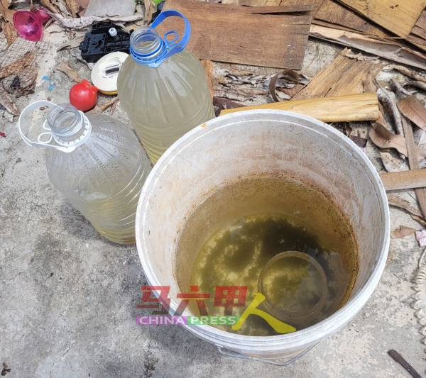 废墟处出现不少积水塑料瓶及塑料桶，当中也有发现孑孓踪影。