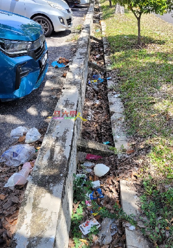 默迪卡柏迈花园沟渠被落叶垃圾阻塞，影响排水。