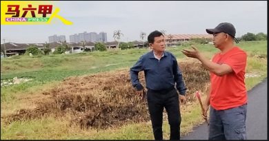 ◤今日马六甲头条◢垃圾被挡去路 堆积壮观 河道 覆盖 杂草浮萍