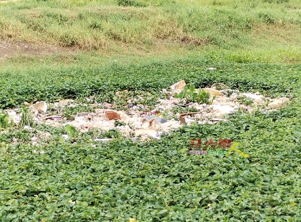 大量垃圾，被河面的杂草卡着，无法流通。