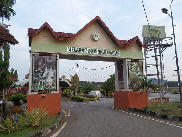 马六甲动物园是国内第2大的动物园。