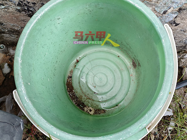 积水的水桶没有好好处理，可导致蚊虫的滋生。