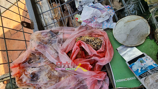 发臭的食物也扔在循环回收箱。