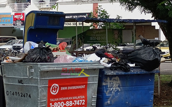 乌鸦在垃圾堆觅食。