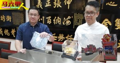 鸡场街迎旅游年展开规划  9 龙迎春  年景布置