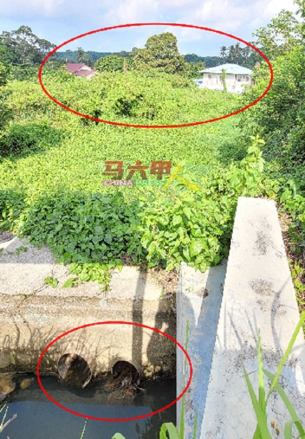 ■空地上方沟渠阻塞且有排水口（红圈下），让工业区流来的污水流向空地，再流至低处的新村民宅（红圈上）。