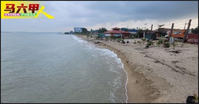 旧树还在 垃圾堆积 海蚀未解 公主海滩    脏乱失色
