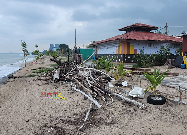 沙滩上堆积树枝、树干及垃圾，显得脏乱。
