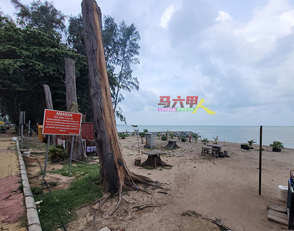 沙滩走道旁设置数个警告牌，警告公众该处沙滩暂时关闭。不过，当地商家透露警告牌其实是砍树工作进行时置放，目前并没限制外人进入沙滩。