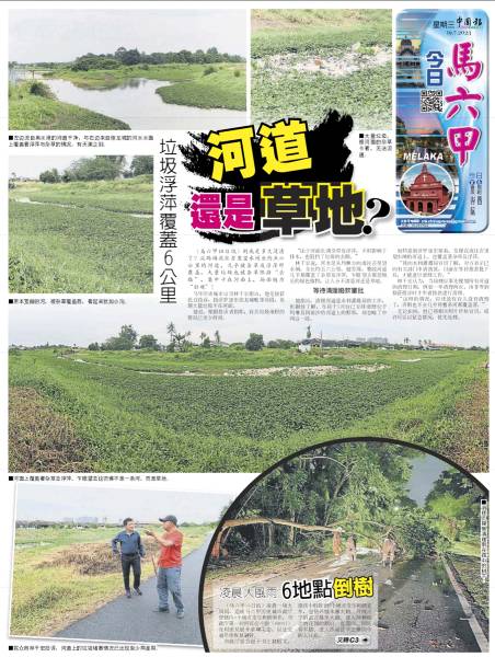 《中国报》报导有关浮罗加东佳龙城毗邻的河段遭大量垃圾及浮萍覆盖新闻。