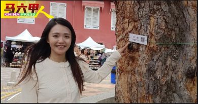林朝雁：长远城市规划 建议政府  设树艺师职