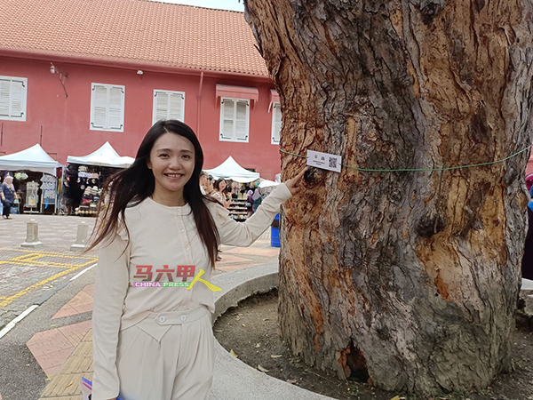 林朝雁指，红屋的树木通过Mytree@Melaka系统登记，树身挂二维码。