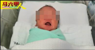 初生女婴遭弃垃圾桶 福利局寻生母或亲属