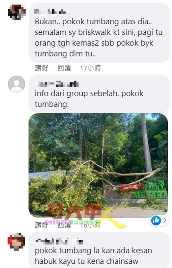 有网民回应兼上载图片，证明植物园的字体是被树枝压毁。（图取自网络）