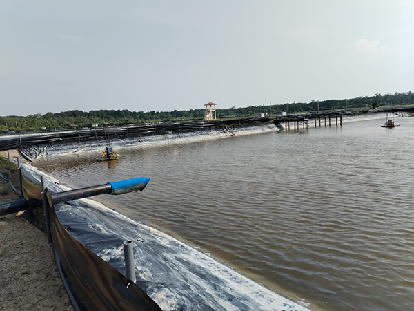 位于双溪南眉士峇株的养殖虾场，该计划目前由马六甲渔民公会与一家私人有限公司联营。