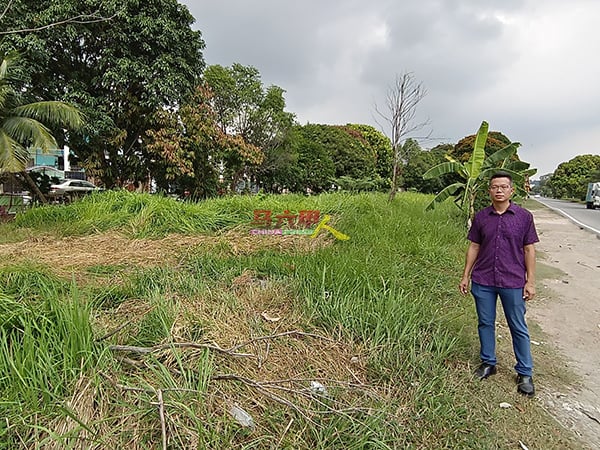 罗舜生建议把长草的空地辟设为集合路边摊的营业地点，提供一个安全及美观的营业环境。