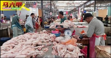 11月起取消补贴不设顶价 甲肉鸡贩料肉鸡价不暴涨