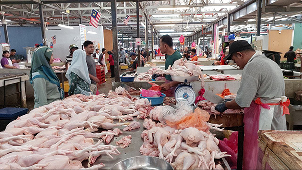 肉鸡商有信心甲州新鲜肉鸡价格不会暴涨，在新措施落实前一天，巴刹没出现抢购情况。