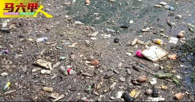 浮萍杂草   增水灾风险 民众吁速疏通马六甲河