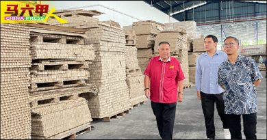 保丽龙代替品可制家具 蜂窝纸品 环保 多样化