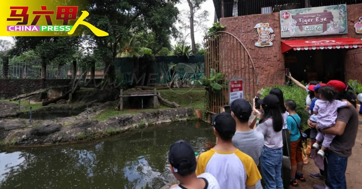 马六甲动物园将引进新动物吸引访客。（图取自MHI）