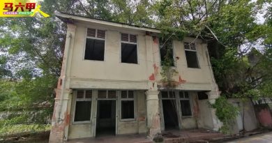 今日马六甲头条｜老屋墙身屋顶长树了  业主需速清理迎旅游年