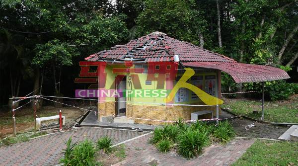 植物园出口处的公共厕所遭树压毁屋顶，承包商料在近期内维修公厕。