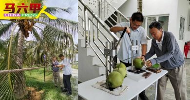 有稻田 沙滩 传统美食 椰林  吉里望州选区可发展休闲旅游