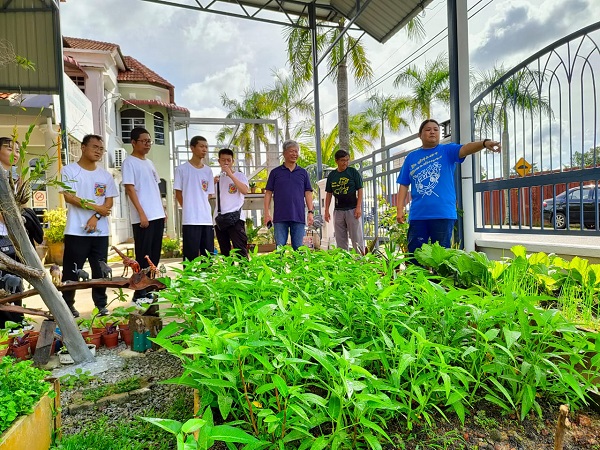 ■指导员陈玉菁（右）向众人介绍肯纳儿协会的有机小菜园。