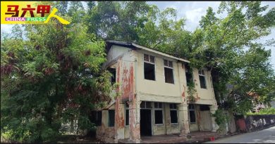 杂草丛生．滋生蚊虫 废弃建筑  如  森林城市