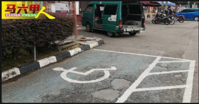 泊车位褪色 垃圾桶拦道 景点无障碍设施 须改善
