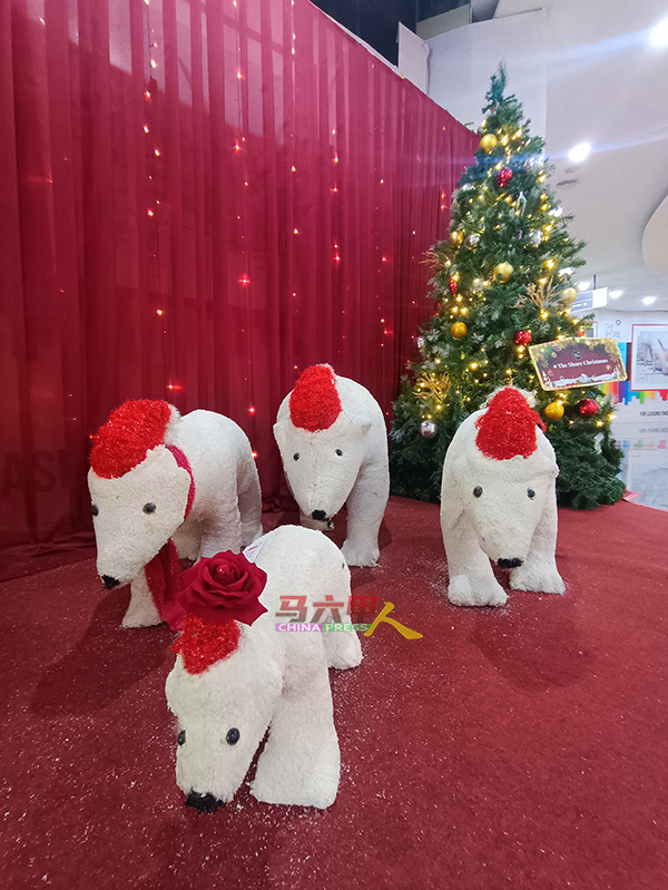 北极熊也到烁购物廊欢庆圣诞节。