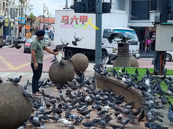 ■四坪坡河边街每天都有民众向鸟类进行喂食，虽然是出于善意，惟也为当地环境带来污染。