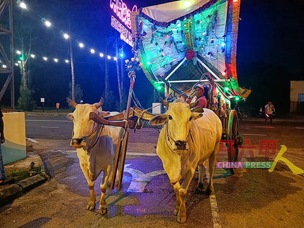 ■夜市设有牛车乘坐活动，是该夜市的特色之一。