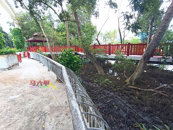 由于海龙宫周围的地势与河岸水平线接近，刘志俍担心鳄鱼上岸的风险高。