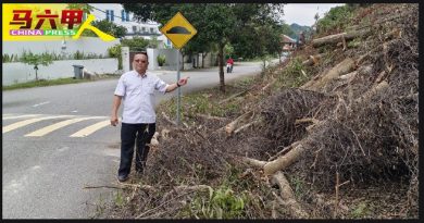 圣淘沙花园小山坡 料两周完成修砍