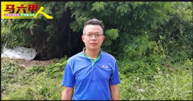 甲今年首周38宗蚊症 中央县占26例有4活跃区