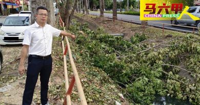 承包商修砍留手尾 树干堆沟   没人清