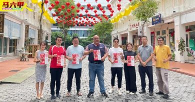 结合峇峇娘惹及中华文化  22日起来奶茶街买年货