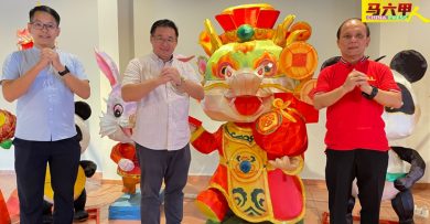 “天下第一篮”     “龙王”秦淮花灯 亮相鸡场街       年景添色彩
