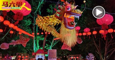 柏美村年景镇亮灯了 10个打卡点吸引眼球