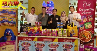 薯片、鸡味脆片、杯面、还有Mamee Monster… 20日  送妈咪礼袋